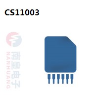 CS11003